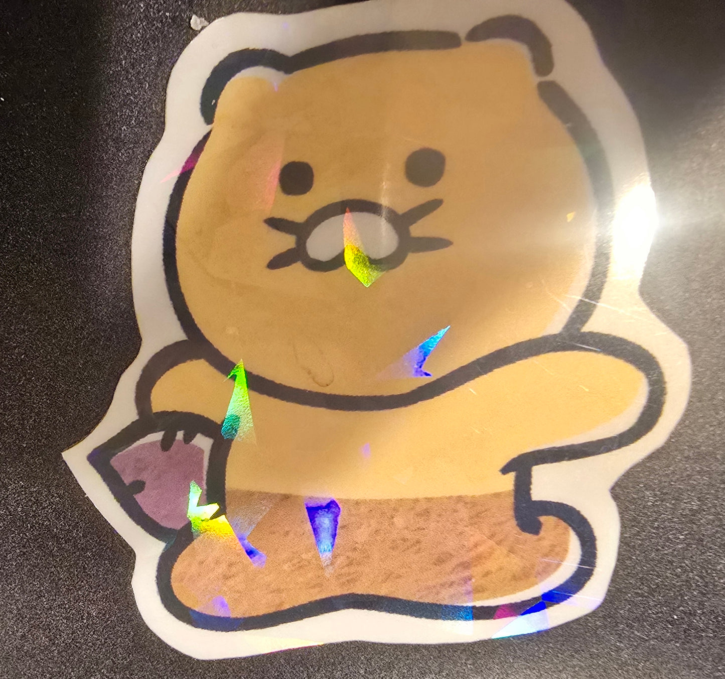Cute chubby cat - Sticker